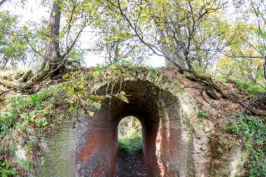 Terk edilmiş bir çiftlik park eski park mağara. Kurilovo, Rusya Federasyonu