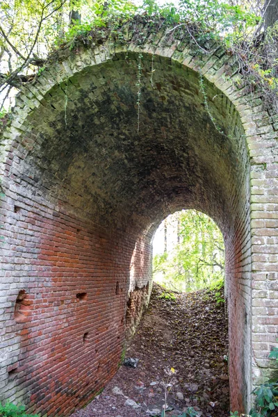 Terk edilmiş bir çiftlik park eski park mağara. Kurilovo, Rusya Federasyonu