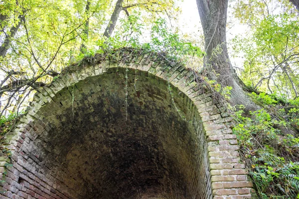 Terk edilmiş bir çiftlik park eski park mağara. Kurilovo, Rusya Federasyonu