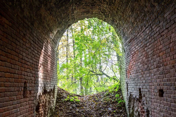 Terk edilmiş bir çiftlik park eski park mağara. Kurilovo, Rusya Federasyonu