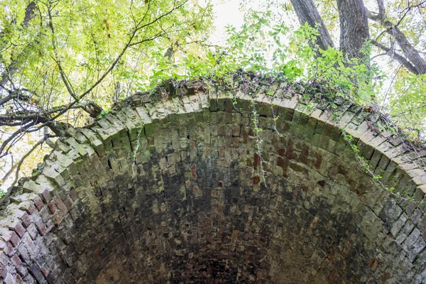 Terk edilmiş bir çiftlik park eski park mağara. Kurilovo, Rusya Federasyonu