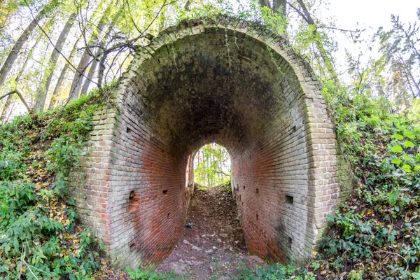 Terk edilmiş bir çiftlik park eski park mağara. Kurilovo, Rusya Federasyonu