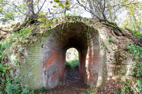 Terk edilmiş bir çiftlik park eski park mağara. Kurilovo, Rusya Federasyonu