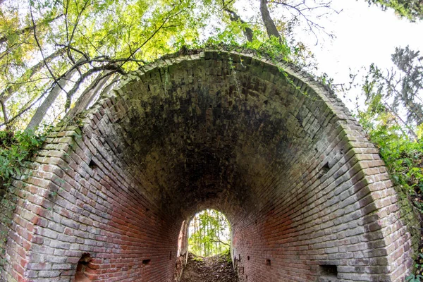 Terk edilmiş bir çiftlik park eski park mağara. Kurilovo, Rusya Federasyonu