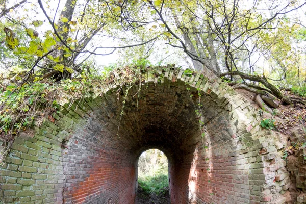Terk edilmiş bir çiftlik park eski park mağara. Kurilovo, Rusya Federasyonu
