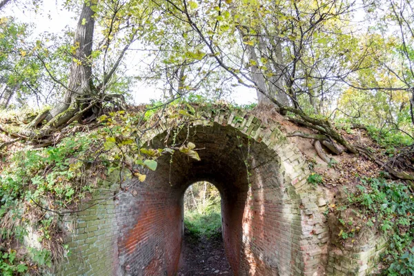 Terk edilmiş bir çiftlik park eski park mağara. Kurilovo, Rusya Federasyonu