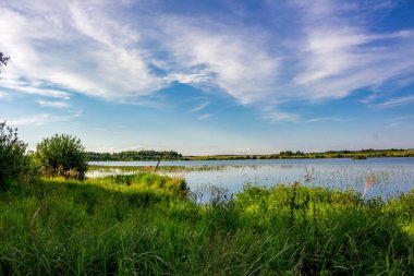 Lake Komlevo, Kaluzhskaya Region, Rusya Federasyonu