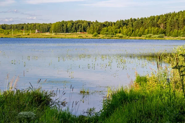 Lake Komlevo Kaluzhskaya Region Rusya Federasyonu — Stok fotoğraf