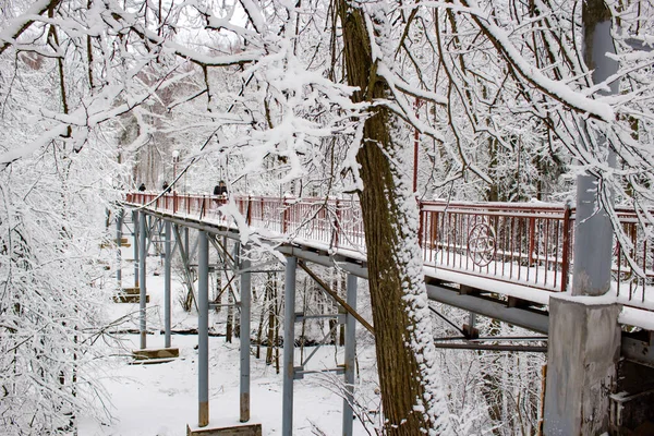 Sneeuw Bedekte Voetgangersbrug Het Ravijn — Stockfoto