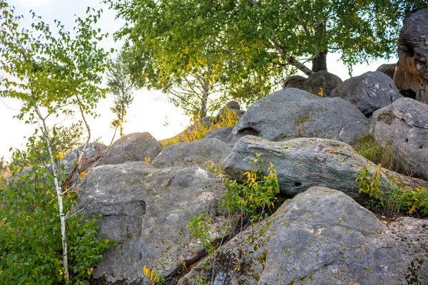 Sacred stones in the area of the village of Krasnogorye. The nature monument Witches stones. The valley of the Krasivaya Mecha River. Tula region, Russia