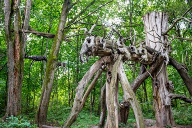 Nikolo-Lenivets, Rusya-Eylül 2015: Peyzaj Sanat Parkı 