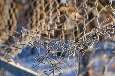 Izgarayı çitin frost ile kaplı bir soğuk sabah, soğuk dalgası, güzel arka plan