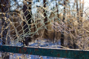 Izgarayı çitin frost ile kaplı bir soğuk sabah, soğuk dalgası, güzel arka plan