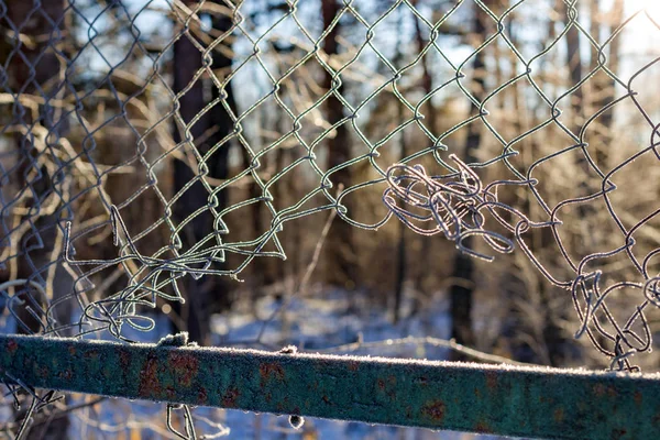 Das Gitter Des Zauns Mit Frost Bedeckt Einem Frostigen Morgen — Stockfoto