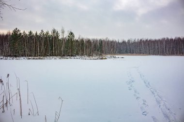 Karla kaplı kış aylarında yoğun bir orman göl donmuş