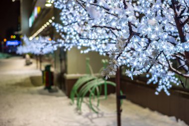 Kışın shopping center yakınındaki hafif Dekoratif ağaçlar