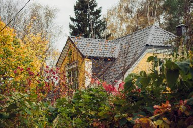 Sarı bir arka plan Gotik ev