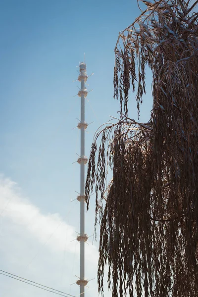 Obninsk Torre Meteorológica Fundo Chorando Salgueiro Primeiro Plano — Fotografia de Stock