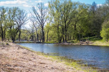 Bir yaz gününde isimsiz göl