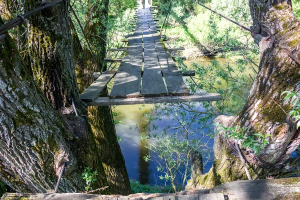 Ancien Moulin Eau Dans Les Montagnes Altaï Production