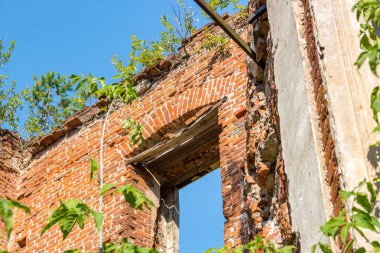 Petrovskoe-Alabino Emlak - 18. yüzyıl, Moscow Region, Rusya'nın sonunda terk edilmiş bir çiftlik kalıntıları. Ağustos 2017