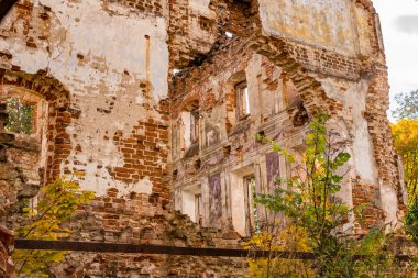 18. yüzyılın, bir görünümden içinde eski bir terk edilmiş manor ev duvarları. Belkino Manor, Rusya Federasyonu