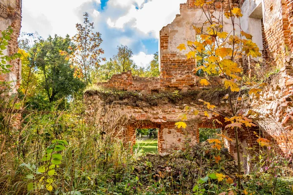 Dem Alten Verlassenen Gebäude Aus Dem Jahrhundert Wuchert Ein Pflanzendickicht — Stockfoto