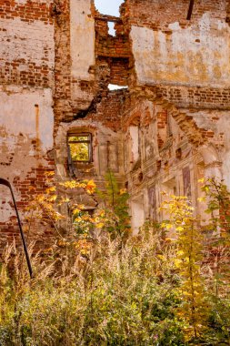 18. yüzyılın harap bir malikanenin kalıntıları yakın, Belkino, Rusya Federasyonu