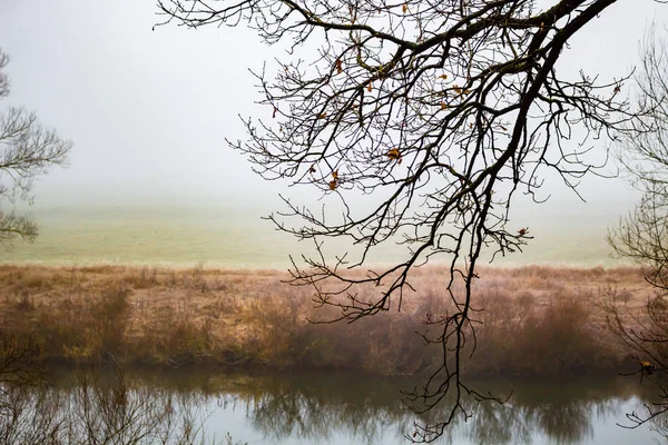 Niebla Mañana Río — Foto de Stock