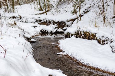 Kış günü küçük orman Nehri