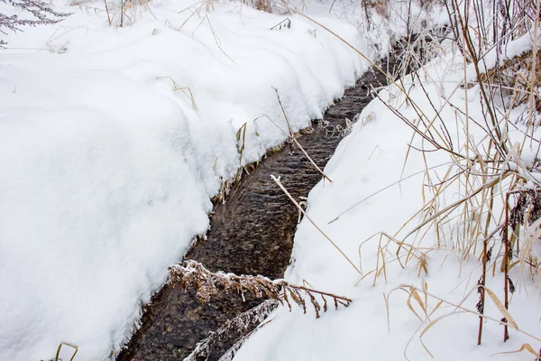 Mały Strumień Środku Pola Zimie — Zdjęcie stockowe