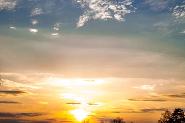 Pôr Sol Com Gradiente Flores — Fotografia de Stock