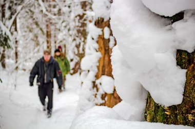 Karda doğa ve uzaktan turist bir grup büyük yığınları. Doğa anıtı 