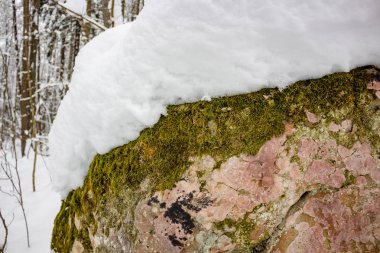 Kozelsk, Sosensky, Rusya Federasyonu - Ocak 2019: Doğa taş anıt 