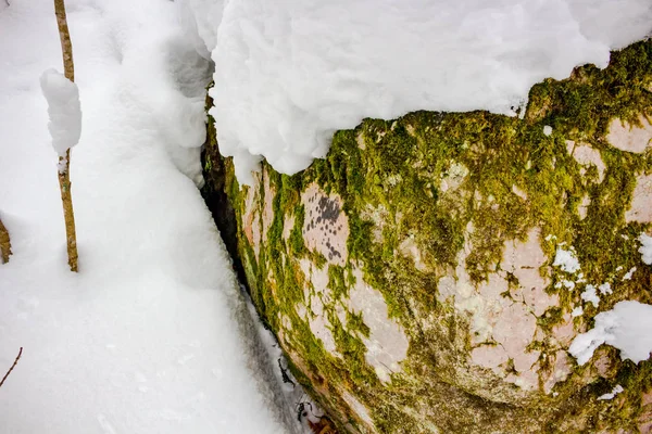 Kozelsk, Sosensky, Rusya Federasyonu - Ocak 2019: Doğa taş anıt 