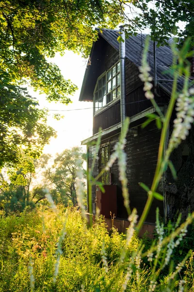 Övergiven Gammal Träbyggnad Naturen Mot Bakgrund Solnedgången Och Vegetation — Stockfoto