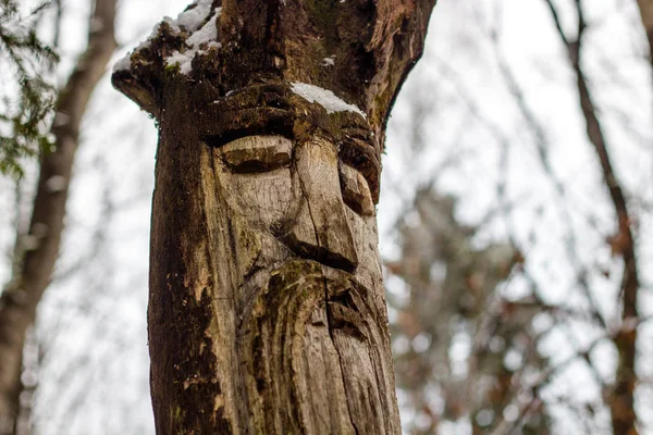 Rusya - Kasım 2015: Köprülü - orman tapınağın Slav pagan Idol. Kaluzhskiy bölgesi
