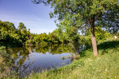 Yaz günü küçük bir nehir kıyısında doğal görünümünü. Nehir Protva, Rusya Federasyonu