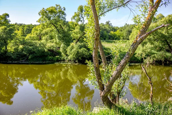 Vista Panorámica Orilla Pequeño Río Día Verano Río Protva Rusia — Foto de Stock