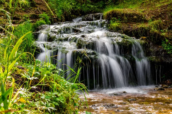 Piękny Las Strumienia Mały Wodospad — Zdjęcie stockowe