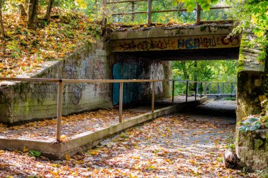 Tünel yolun altında görünümünü sonbahar yaprakları ile kaplı