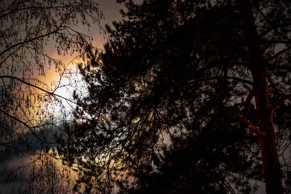 Het Heldere Licht Van Maan Volle Maan Nachts Door Wolken — Stockfoto