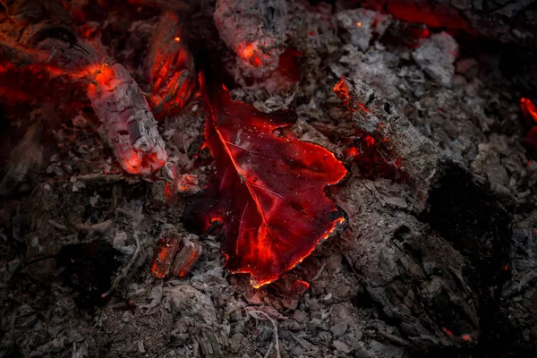 Leaves burning in a fire