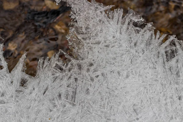 Cultivo Hielo Arroyo Invierno — Foto de Stock