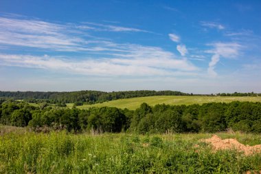 Luzha Nehri vadisinde güzel yeşil manzara. Kalushakiy Region, Borovsky District, Rusya Federasyonu