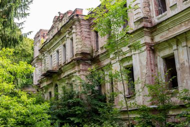 Saray Yaroşenko kalıntıları geç 19. Sanatoryum Pavlishchev-Bor, Yuhnovskiy district, Kaluzhskiy region, Rusya - Temmuz 2019