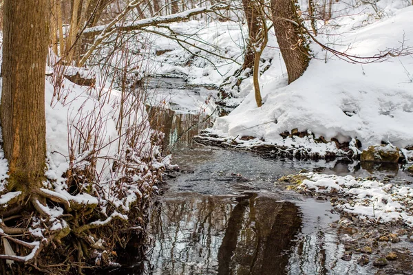 Widok Małej Rzeki Lesie Biegnącej Zimą Wśród Białego Śniegu — Zdjęcie stockowe