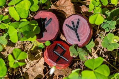 Runes Fehu, Algiz (Elhaz) and Odal (Othala) carved from wood on the grass - Elder Futhark clipart