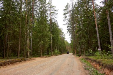 Kamyonlar için orman yolu, orman alanlarında kargo taşımacılığı