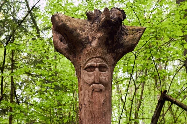 Imagem Divindade Eslava Veles Esculpida Partir Raiz Uma Árvore Templo — Fotografia de Stock